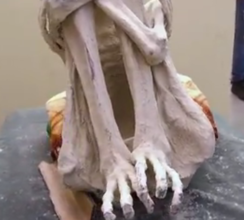 Nazca mummy feet
