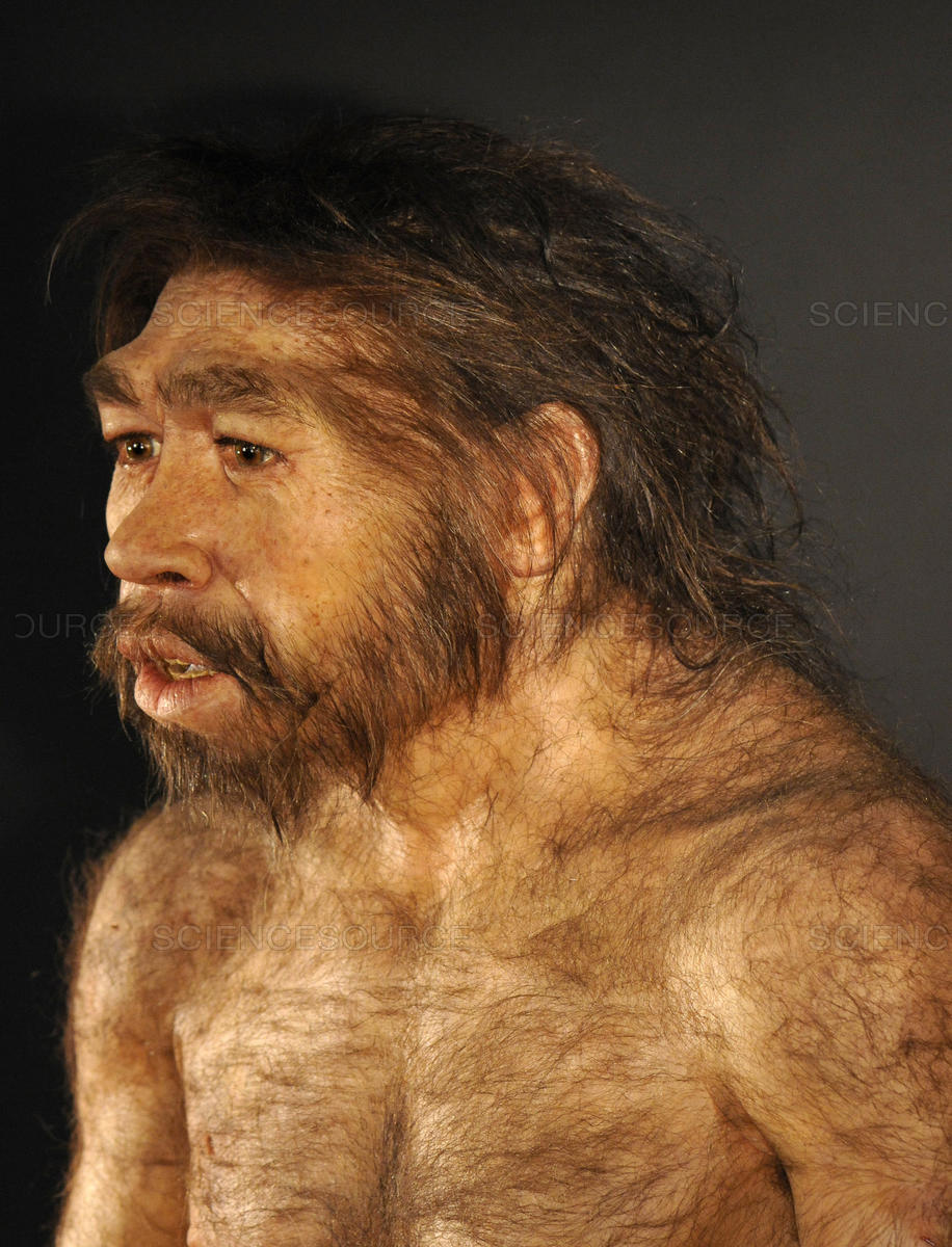 The many faces of Homo Erectus — Truth has no agenda